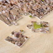 VS, Massachusetts, Nantucket. Schelp Legpuzzel (Zijkant)