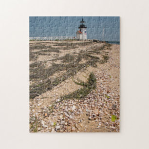 VS, Massachusetts, Nantucket. Schelp Legpuzzel