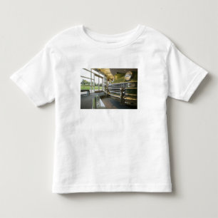 VS, Michigan, Auburn Hills: Walter P. Crysler Kinder Shirts