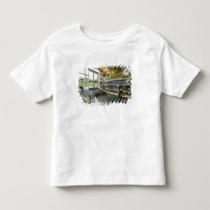 VS, Michigan, Auburn Hills: Walter P. Crysler Kinder Shirts