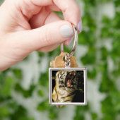 VS, Michigan, Detroit. Detroit Zoo, tijger 2 Sleutelhanger (Hand)