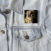 VS, Michigan, Detroit. Detroit Zoo, tijger 2 Vierkante Button 5,1 Cm (In situ)