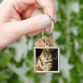 VS, Michigan, Detroit. Detroit Zoo, tijger 3 Sleutelhanger (Hand)