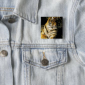 VS, Michigan, Detroit. Detroit Zoo, tijger 3 Vierkante Button 5,1 Cm (In situ)