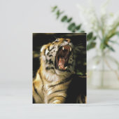 VS, Michigan, Detroit. Detroit Zoo, tijger Briefkaart (Staand voorkant)