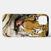 VS, Michigan, Detroit. Detroit Zoo, tijger Case-Mate iPhone Case (Achterkant (horizontaal))