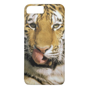 VS, Michigan, Detroit. Detroit Zoo, tijger Case-Mate iPhone Case
