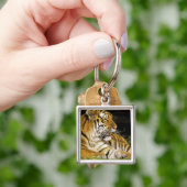 VS, Michigan, Detroit. Detroit Zoo, tijger op Sleutelhanger (Hand)