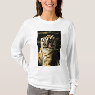 VS, Michigan, Detroit. Detroit Zoo, tijger T-shirt