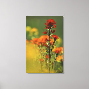 VS, Michigan, Drummond Island, Maxton Plains, Canvas Afdruk
