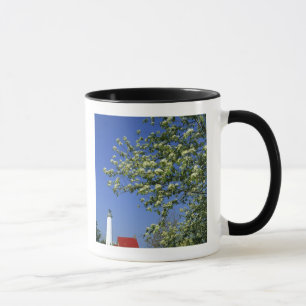 VS, Michigan, East Tawas. Tawas vuurtoren met Mok