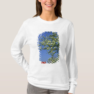 VS, Michigan, East Tawas. Tawas vuurtoren met T-shirt
