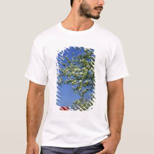 VS, Michigan, East Tawas. Tawas vuurtoren met T-shirt