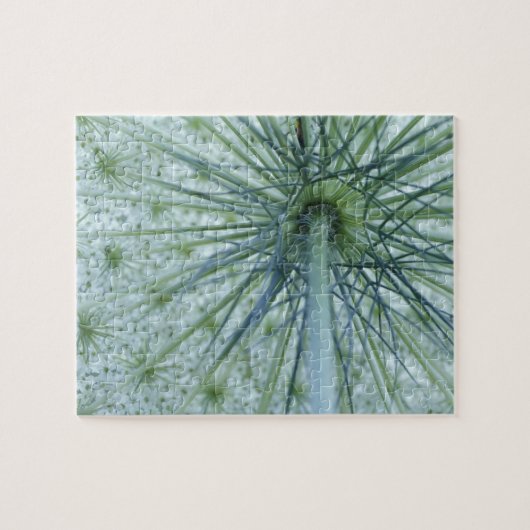 VS, Michigan. Fluitenkruid gefotografeerd vanuit Legpuzzel (Horizontaal)