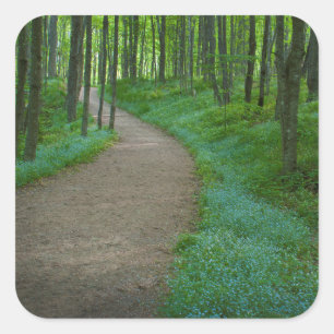 VS, Michigan. Herfsten van minderjarigen Vierkante Sticker