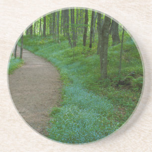 VS, Michigan. Herfsten van minderjarigen Zandsteen Onderzetter