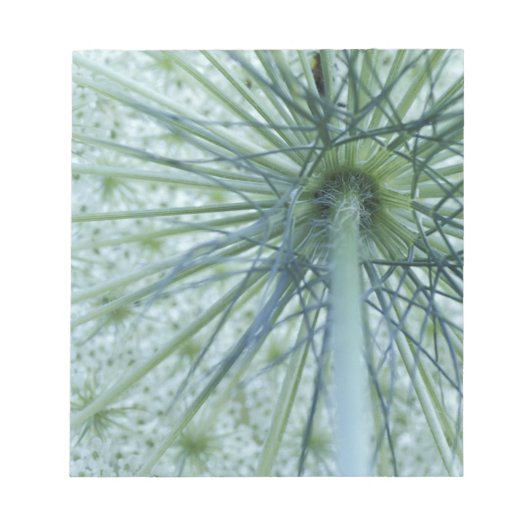 VS, Michigan. Koningin-Anne's Lace bekeken van Notitieblok (Voorkant)