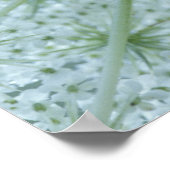 VS, Michigan. Koningin-Anne's Lace bekeken van Poster (Hoek)