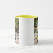 VS, Michigan, Mackinac Island. Yellow Bike Mok (Midden)