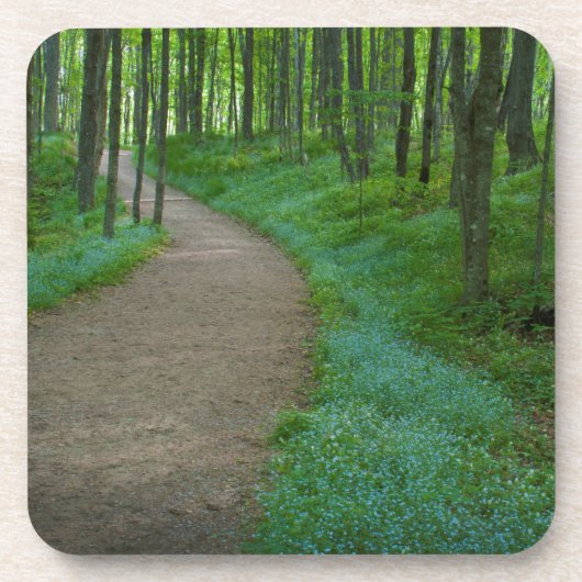 VS, Michigan. Miner's Falls Trail Bier Onderzetter (Voorkant)