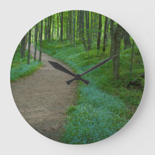 VS, Michigan. Miner's Falls Trail Grote Klok