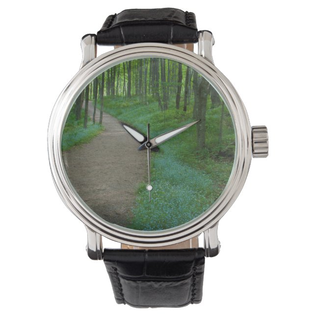 VS, Michigan. Miner's Falls Trail Horloge (Voorkant)