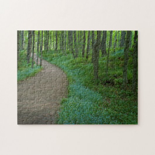VS, Michigan. Miner's Falls Trail Legpuzzel (Horizontaal)