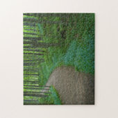 VS, Michigan. Miner's Falls Trail Legpuzzel (Verticaal)