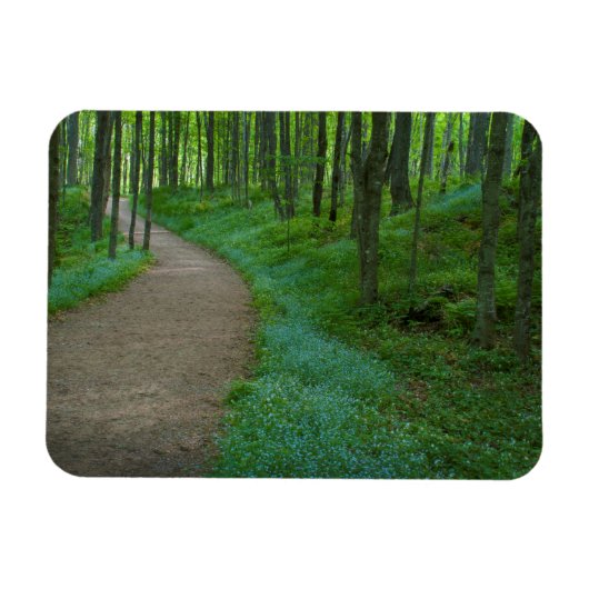 VS, Michigan. Miner's Falls Trail Magneet (Horizontaal)