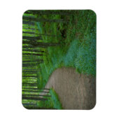 VS, Michigan. Miner's Falls Trail Magneet (Verticaal)