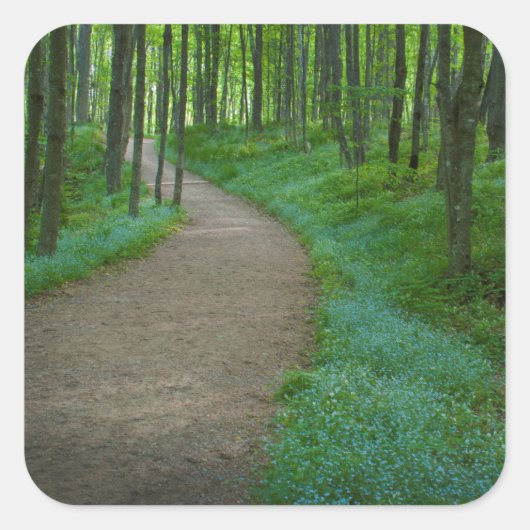 VS, Michigan. Miner's Falls Trail Vierkante Sticker (Voorkant)