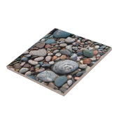 VS, Michigan. Opgeblazen keien op de kust Tegeltje (Zijkant)