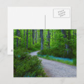 VS, Michigan. Pad Door Het Bos Briefkaart (Voorkant / Achterkant)
