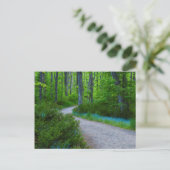 VS, Michigan. Pad Door Het Bos Briefkaart (Staand voorkant)