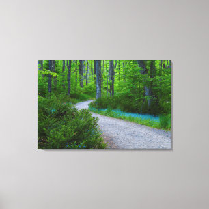 VS, Michigan. Pad Door Het Bos Canvas Afdruk