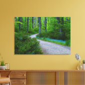 VS, Michigan. Pad Door Het Bos Canvas Afdruk (Insitu (Woonkamer))