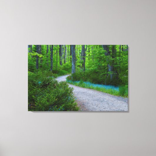 VS, Michigan. Pad Door Het Bos Canvas Afdruk (Voorkant)