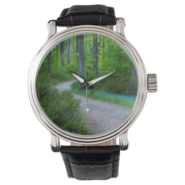 VS, Michigan. Pad Door Het Bos Horloge (Voorkant)