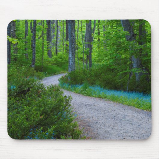 VS, Michigan. Pad Door Het Bos Muismat (Voorkant)