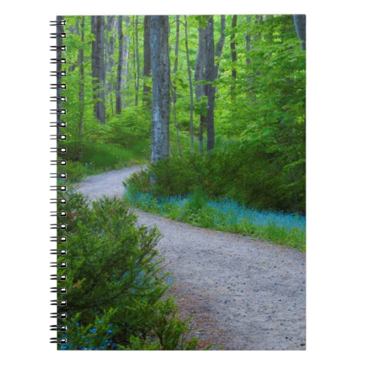 VS, Michigan. Pad Door Het Bos Notitieboek (Voorkant)