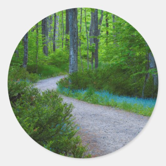 VS, Michigan. Pad Door Het Bos Ronde Sticker (Voorkant)