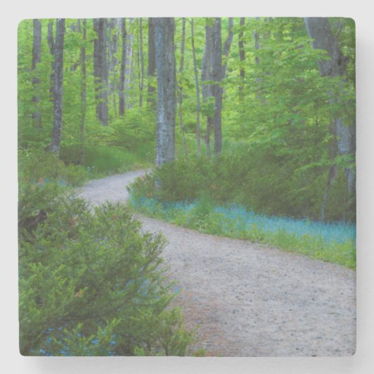 VS, Michigan. Pad door het bos Stenen Onderzetter (Voorkant)