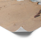 VS, Michigan. Pebbles Along 12 miljoen strand Poster (Hoek)