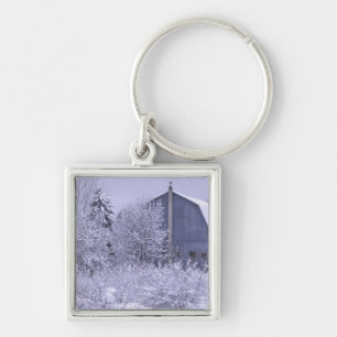 VS, Michigan, Rochester Hills. Besneeuwd blauw Sleutelhanger