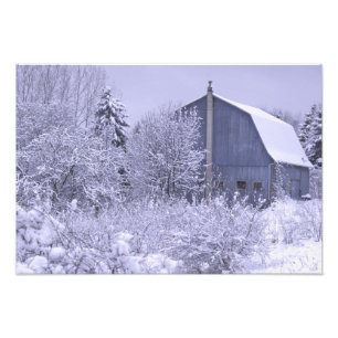VS, Michigan, Rochester Hills. Besneeuwde blauwe Foto Afdruk