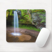 VS, Michigan. Scott's Herfsten in Upper Michigan Muismat (Met muis)