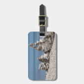 VS, Michigan. Stenen Torens Op Het Strand Bagagelabel (Voorkant verticaal)