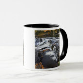 VS, Michigan, Upper Peninsula. Bond Falls en Mok (Voorkant rechts)
