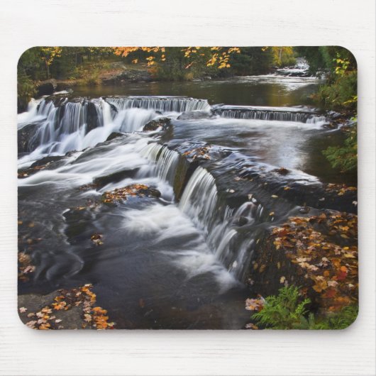 VS, Michigan, Upper Peninsula. Bond Falls en Muismat (Voorkant)
