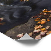 VS, Michigan, Upper Peninsula. Bond Falls en Poster (Hoek)